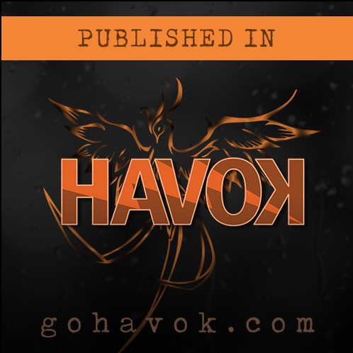 GoHavok sign